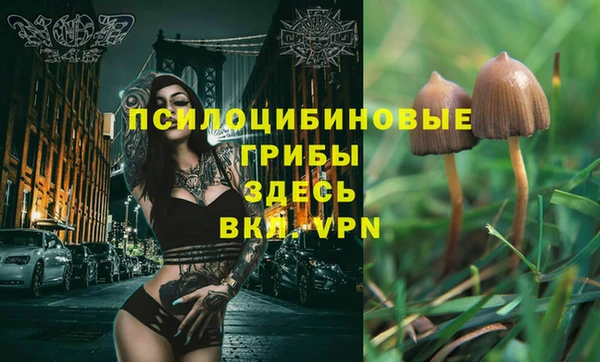 таблы Ельня