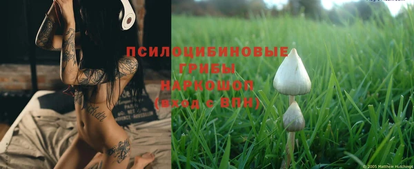 таблы Ельня
