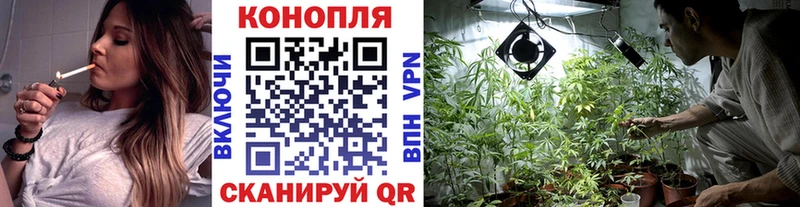 Купить где Реж Канабис THC 21%